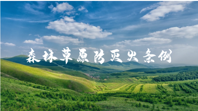 56534ba1-5b46-476a-adfe-24c42a54209d.png 56534ba1-5b46-476a-adfe-24c42a54209d.png